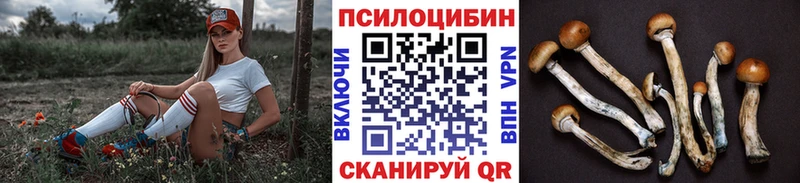 Псилоцибиновые грибы прущие грибы  купить  цена  shop телеграм  Борисоглебск 