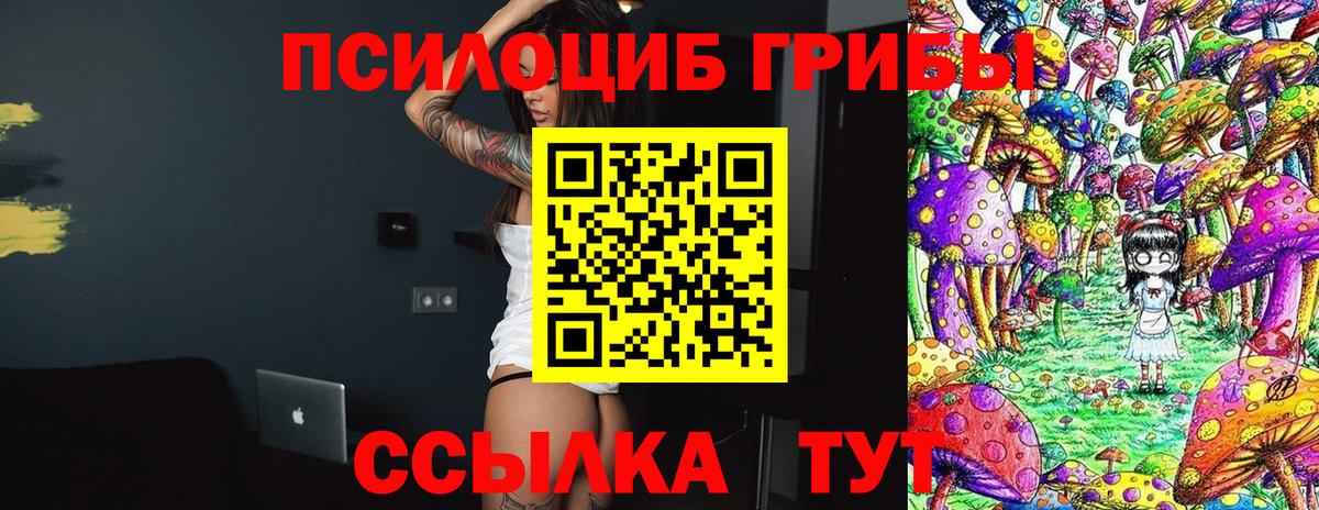 Псилоцибиновые грибы MAGIC MUSHROOMS  Вход с VPN  Борисоглебск  Псилоцибиновые грибы Psilocybine cubensis 