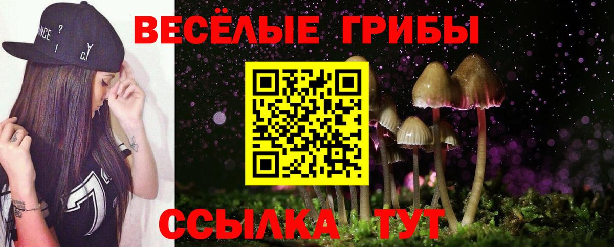 Галлюциногенные грибы мухоморы Борисоглебск